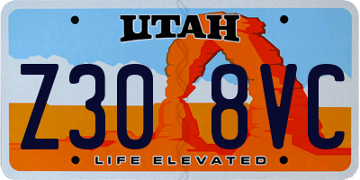 UT license plate Z308VC