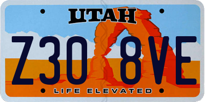 UT license plate Z308VE