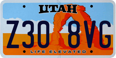 UT license plate Z308VG