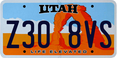 UT license plate Z308VS