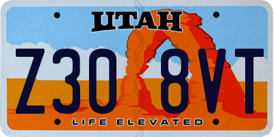 UT license plate Z308VT