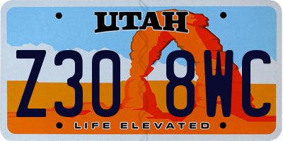 UT license plate Z308WC