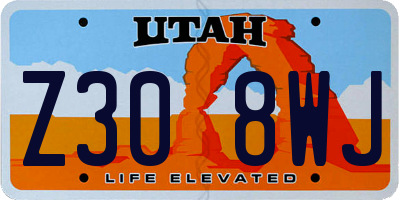 UT license plate Z308WJ