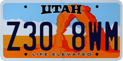 UT license plate Z308WM