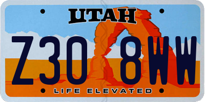 UT license plate Z308WW