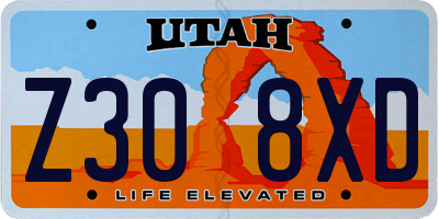 UT license plate Z308XD