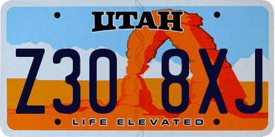 UT license plate Z308XJ