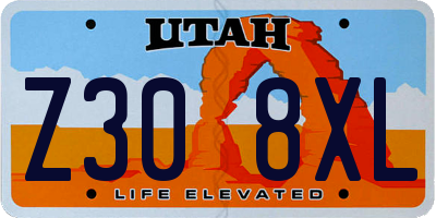 UT license plate Z308XL