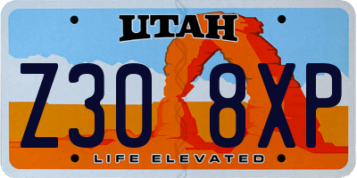 UT license plate Z308XP