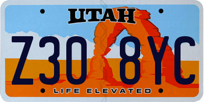 UT license plate Z308YC