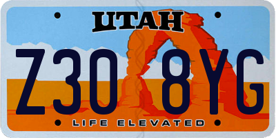 UT license plate Z308YG