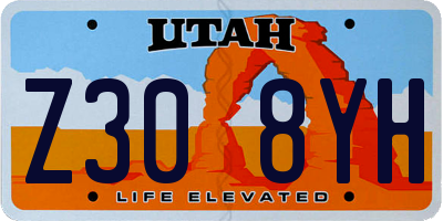 UT license plate Z308YH