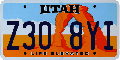 UT license plate Z308YI