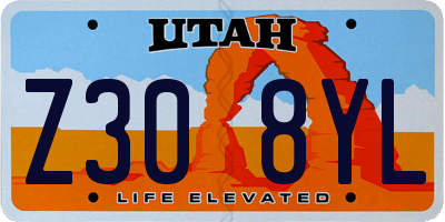 UT license plate Z308YL