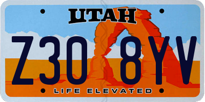UT license plate Z308YV