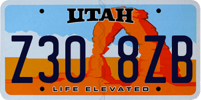 UT license plate Z308ZB