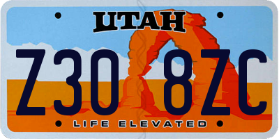 UT license plate Z308ZC