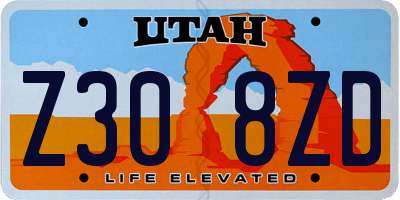 UT license plate Z308ZD