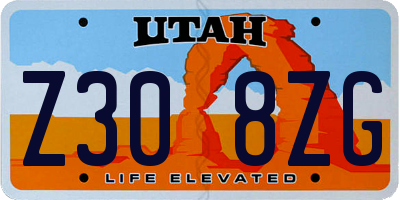 UT license plate Z308ZG
