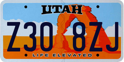 UT license plate Z308ZJ