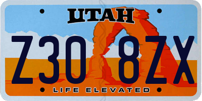 UT license plate Z308ZX