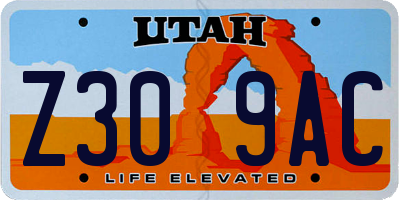 UT license plate Z309AC