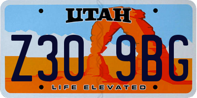UT license plate Z309BG