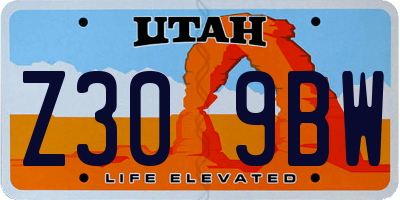 UT license plate Z309BW