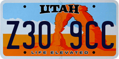 UT license plate Z309CC