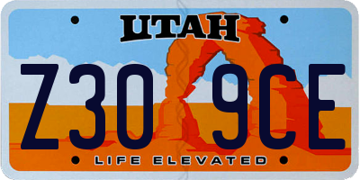 UT license plate Z309CE