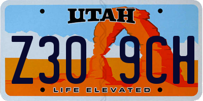 UT license plate Z309CH