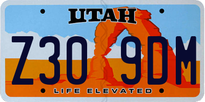 UT license plate Z309DM