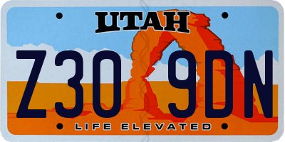 UT license plate Z309DN