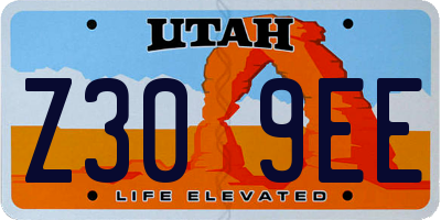 UT license plate Z309EE