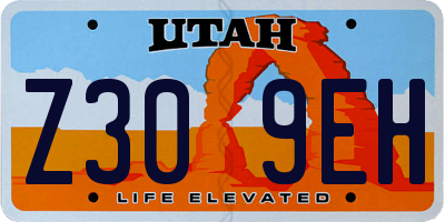 UT license plate Z309EH