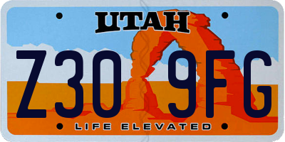 UT license plate Z309FG
