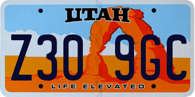 UT license plate Z309GC