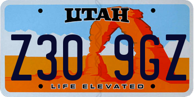 UT license plate Z309GZ