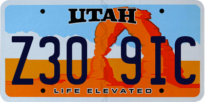 UT license plate Z309IC