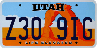 UT license plate Z309IG