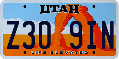 UT license plate Z309IN