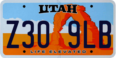 UT license plate Z309LB