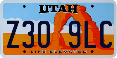 UT license plate Z309LC