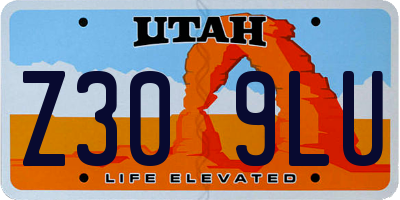 UT license plate Z309LU