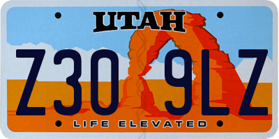 UT license plate Z309LZ