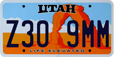 UT license plate Z309MM