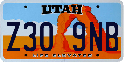 UT license plate Z309NB