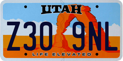 UT license plate Z309NL