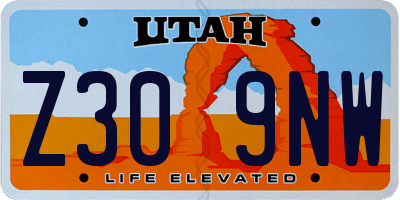 UT license plate Z309NW