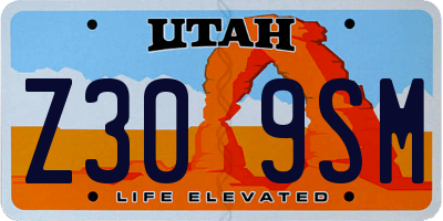UT license plate Z309SM